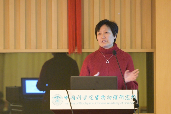 北京大学顾红雅教授做报告 北京大学顾红雅教授做报告