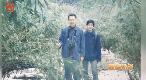 6.gif