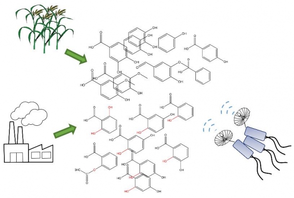 微生物能够感应环境中芳香化合物，具有趋化能力。利用微生物对芳环类污染物趋化特性，可以设计主动寻找污染物的智能微生物，开发智慧环境微生物技术