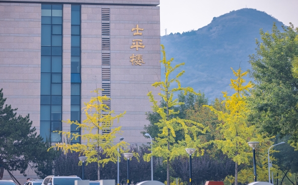 184850_364942_a2.jpg