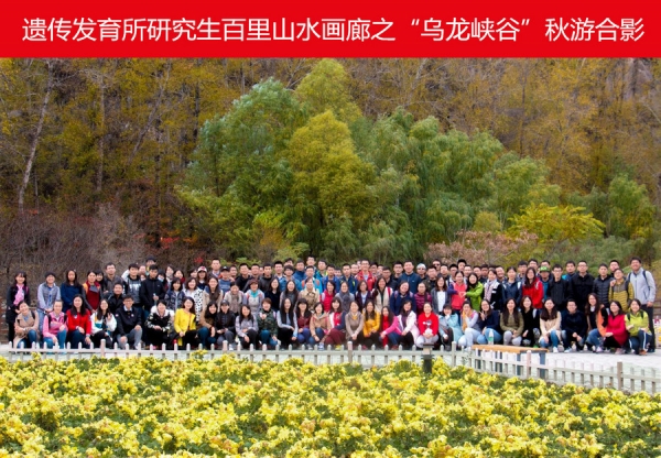 合影 合影