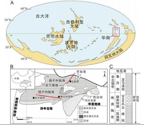 图1 A.晚奥陶－早志留世全球古大陆格局; B.秀山大田坝、长宁双河及王家湾剖面位置图；C.本研究的地层示意图