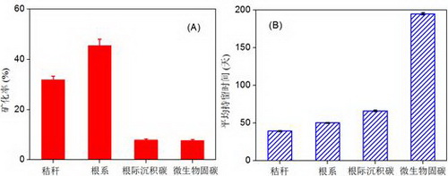 图1 水稻秸秆、根系、根际沉积碳以及微生物同化碳在300天培养试验后的累积矿化率（A）及其在水稻土中的平均持留时间（B）
