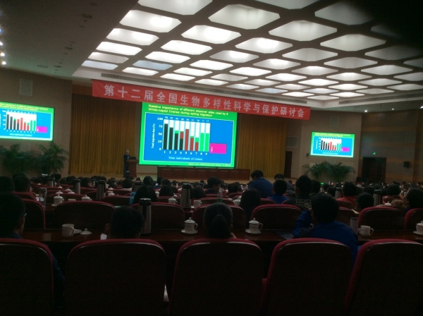 会议现场