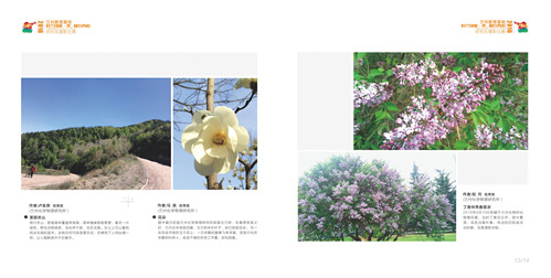 2017.5.26 23-23 画册-第一部分--修改--最终稿_0012.jpg