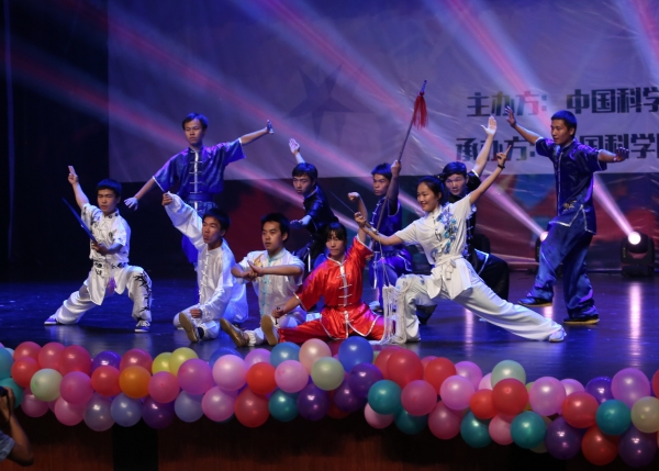 武术《武动雁栖》