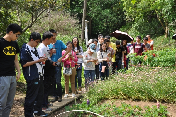 参观植物园
