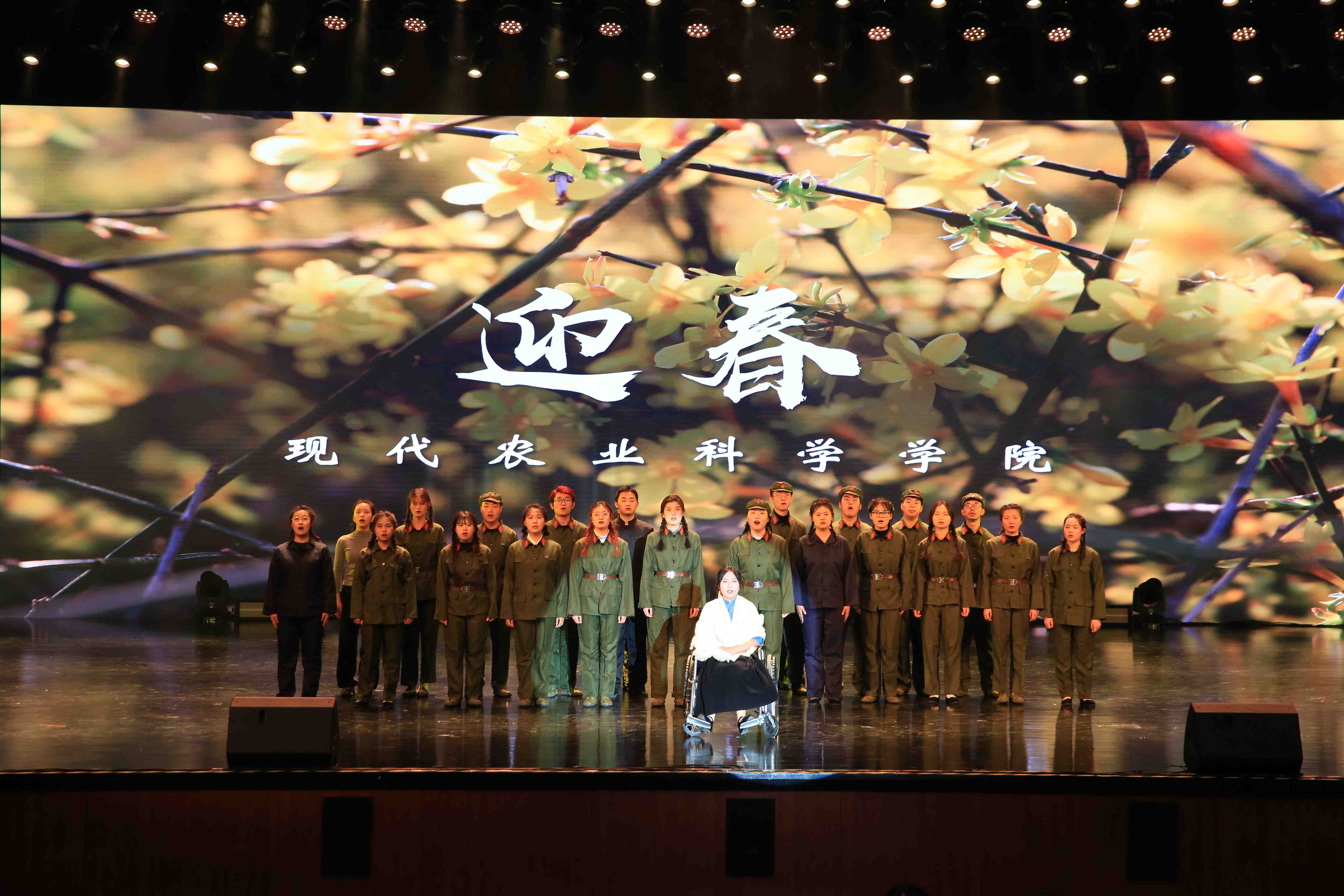 农学院《迎春》 (2).JPG