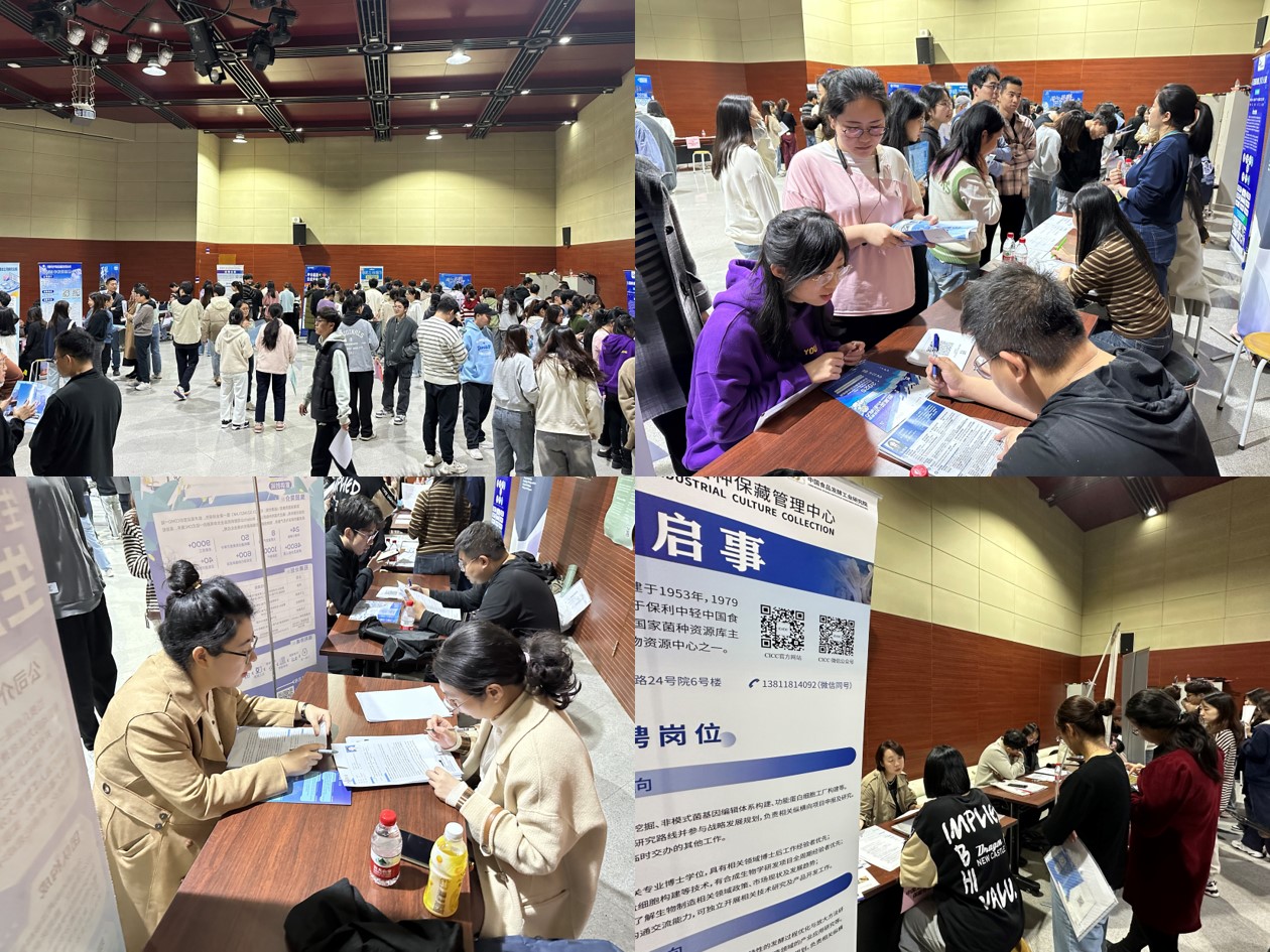 双选会现场.jpg