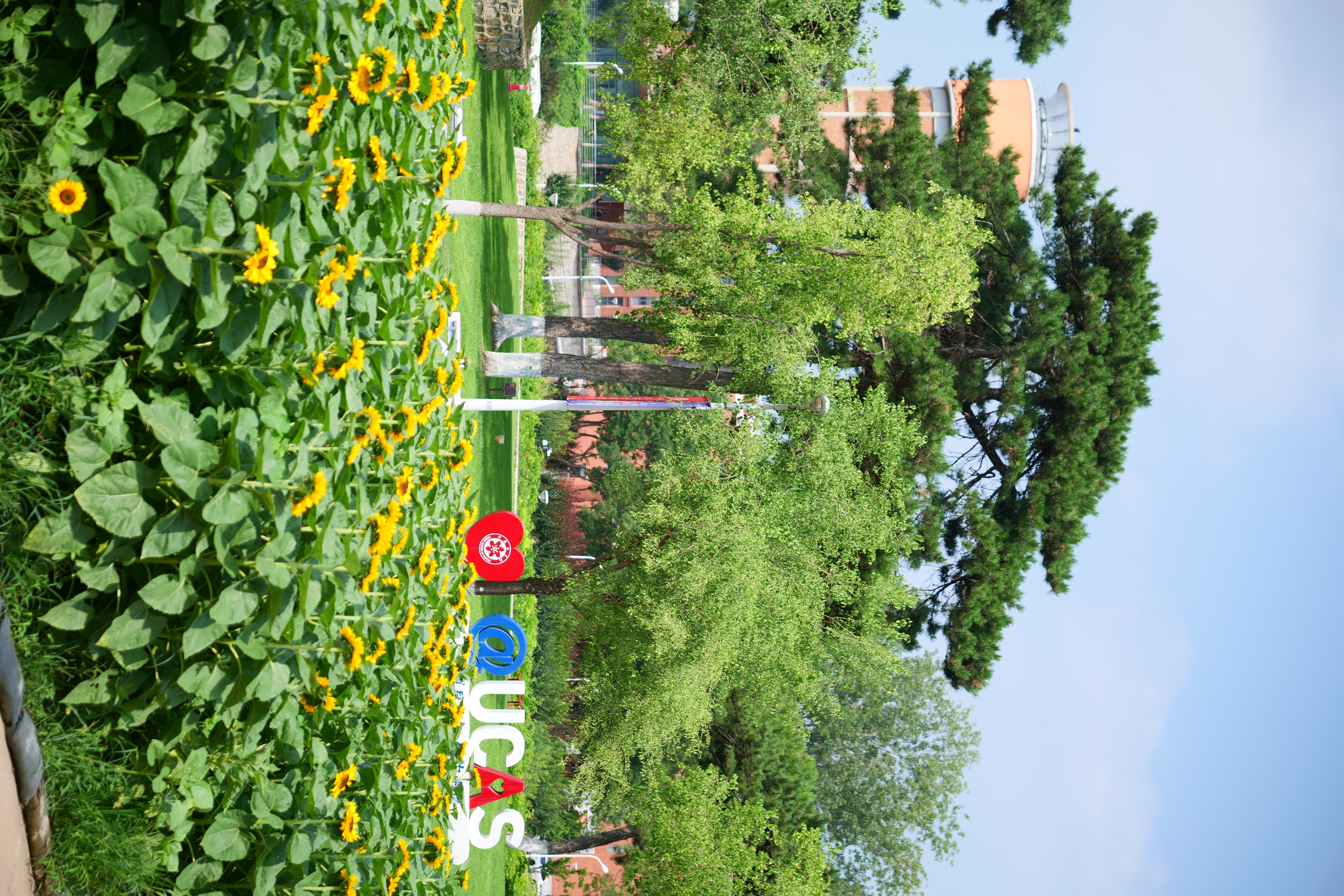 P4166097.JPG