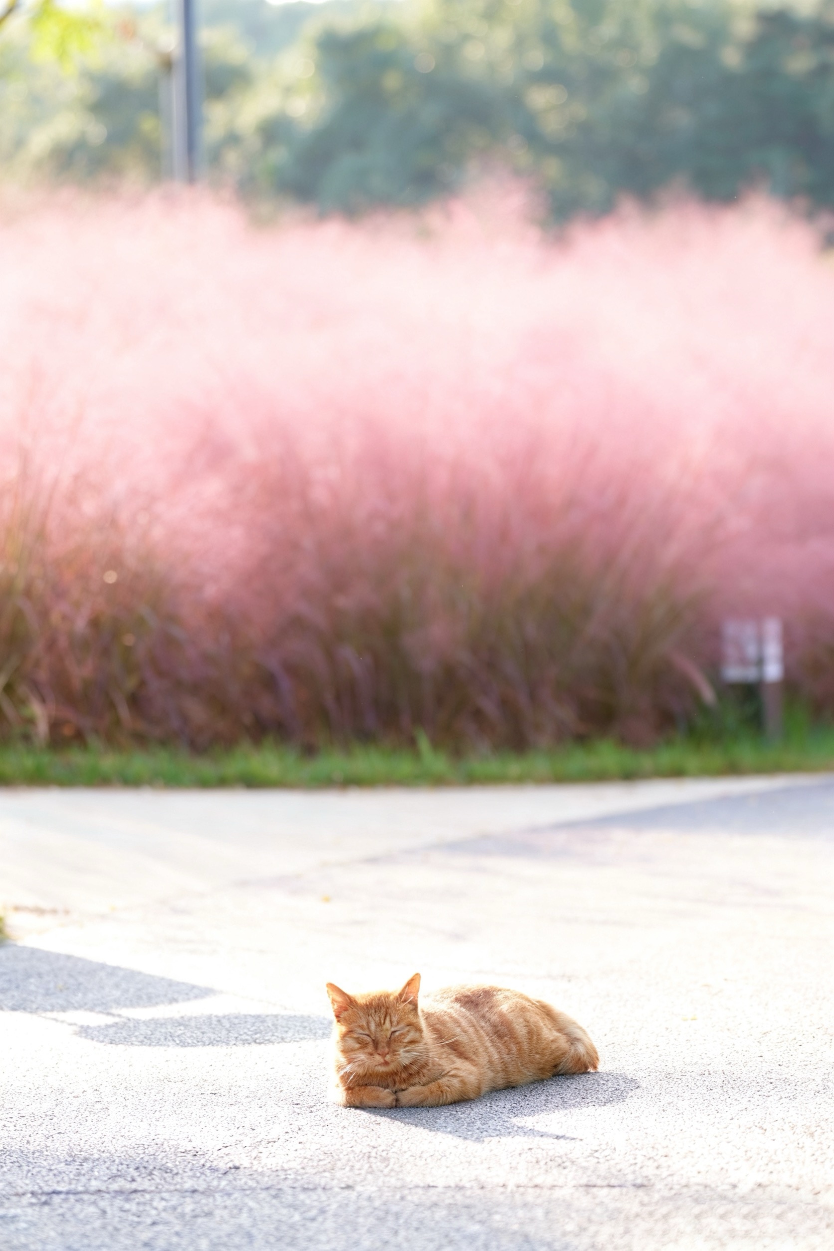 钟芸霏.JPG