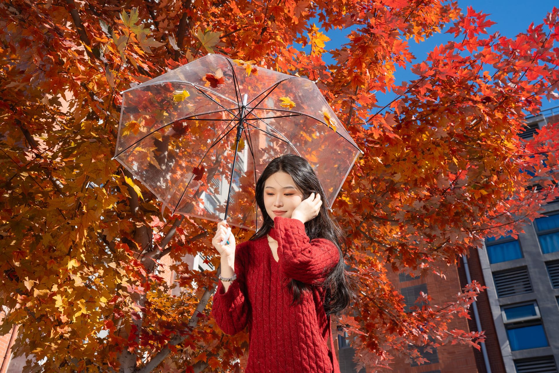雁栖湖-陶昊 (2).jpg