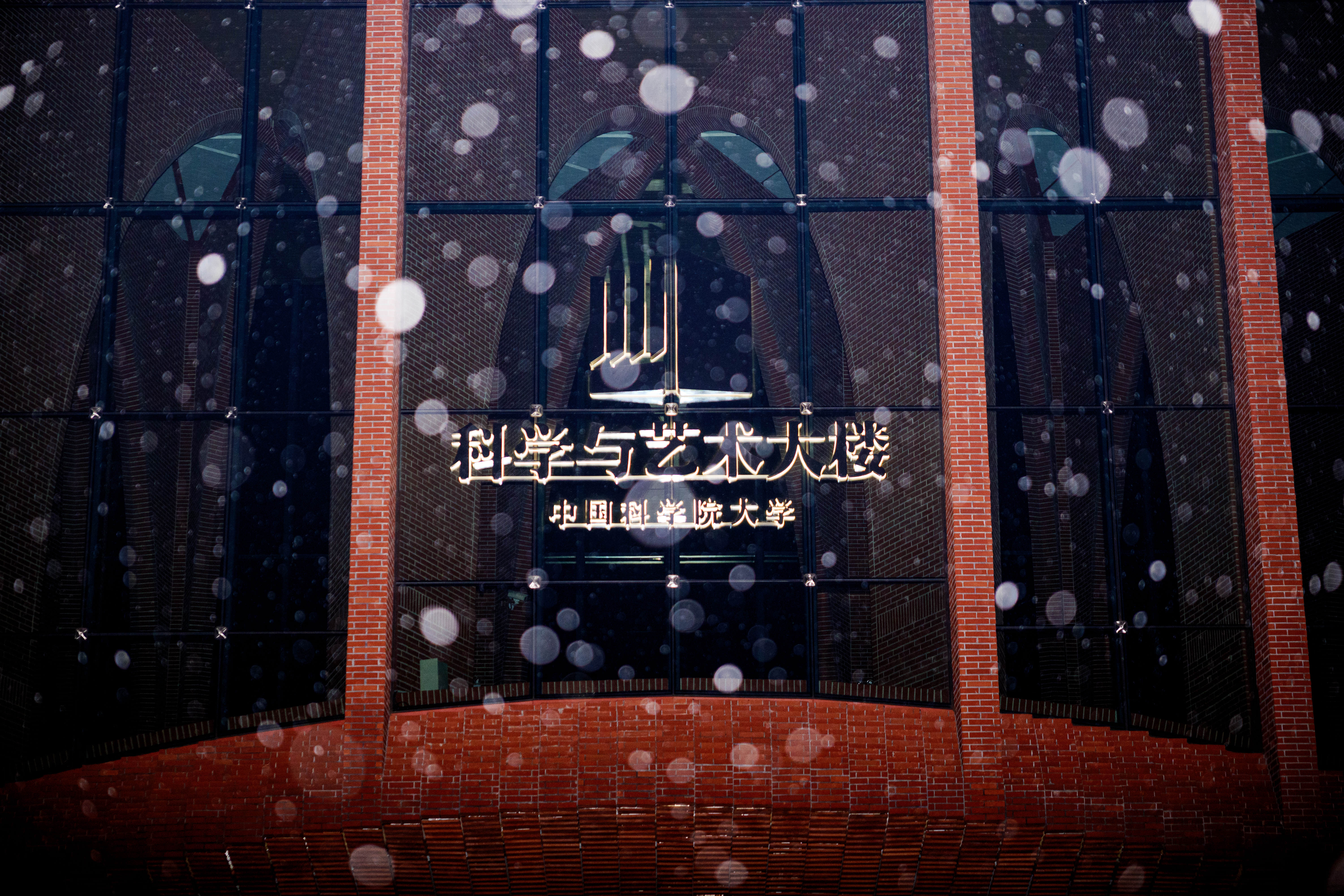 陈虎-P4435820.jpg