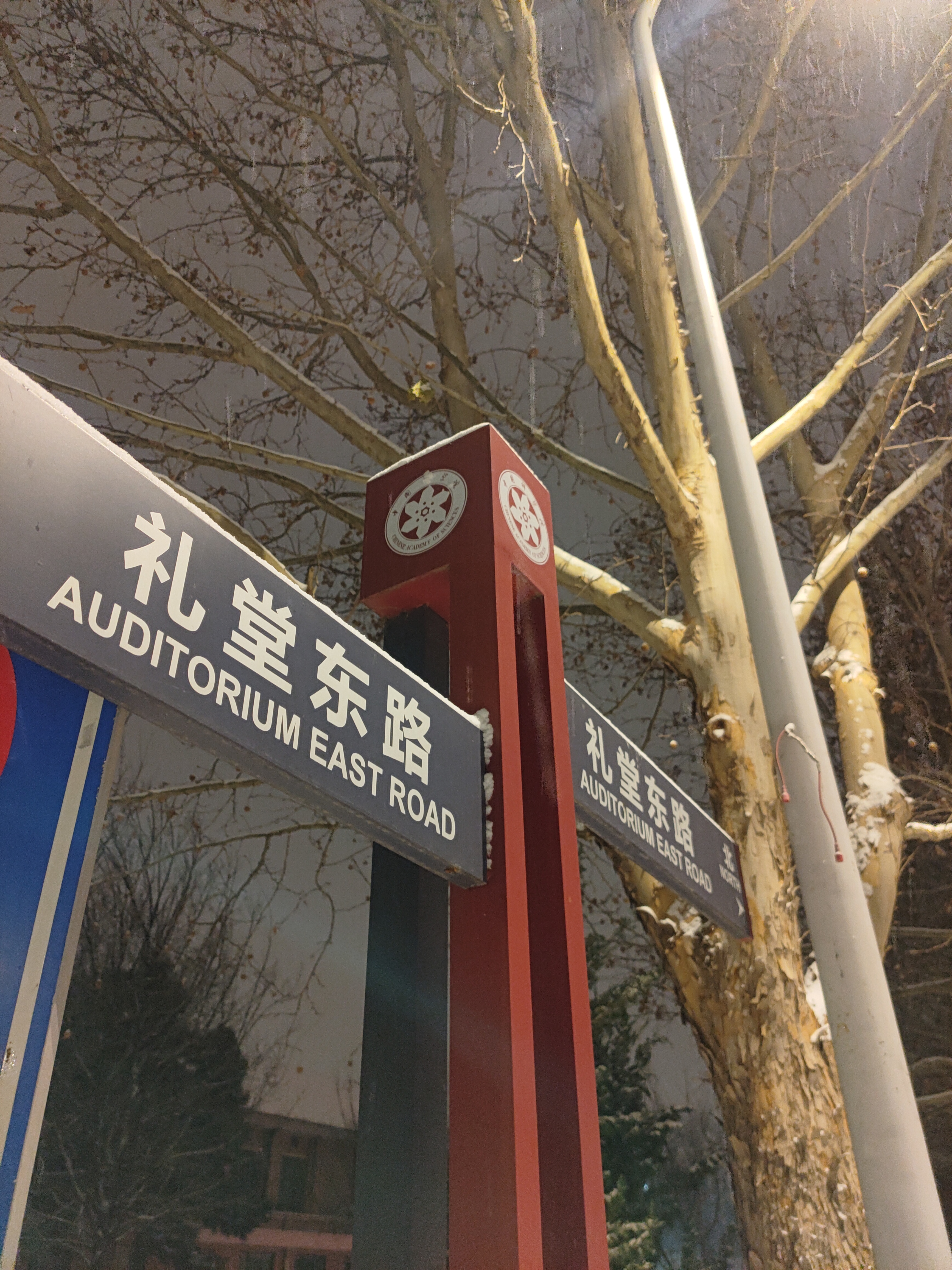 陈子豪 (4).jpg
