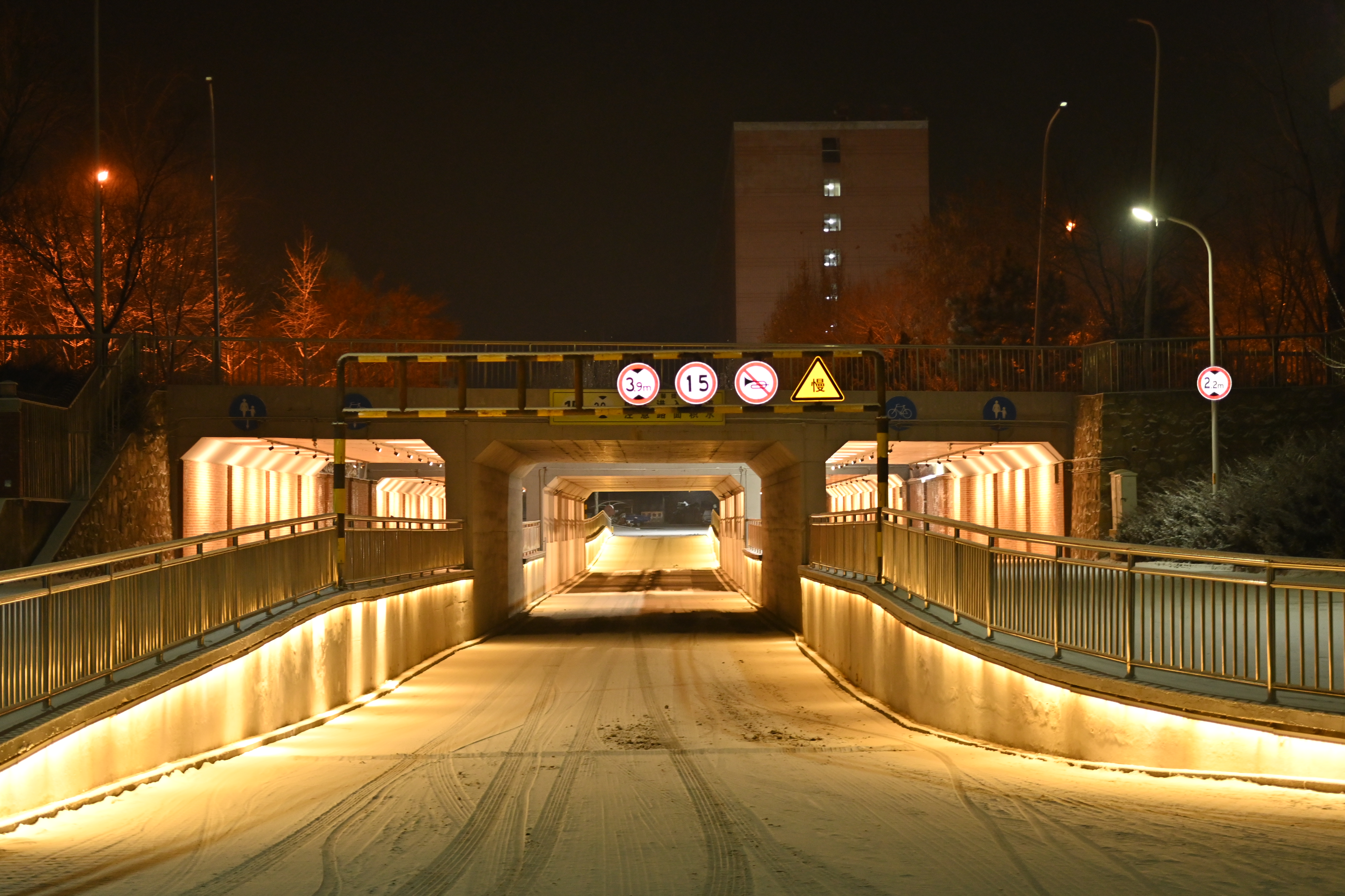 DSC_0420.JPG