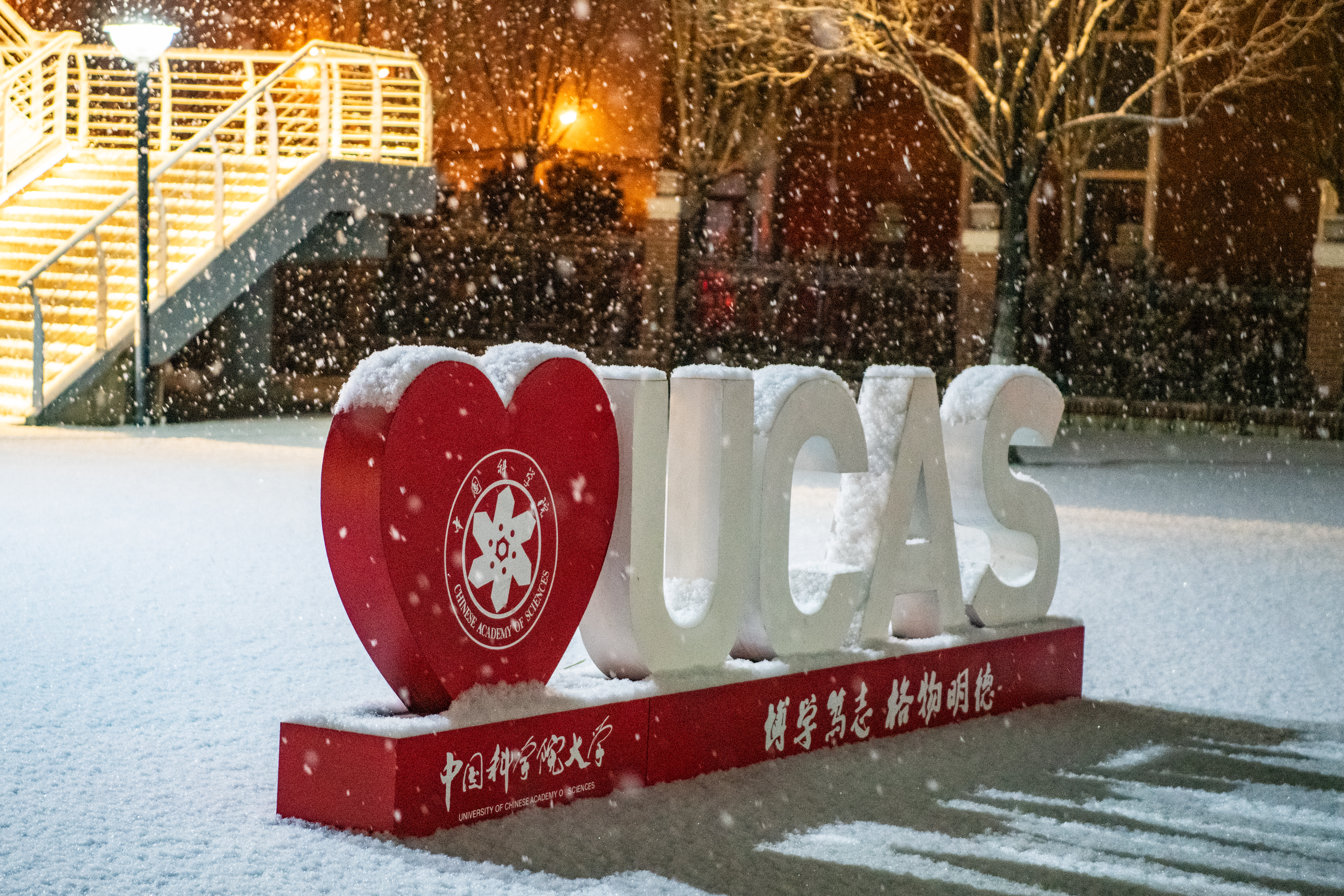 初雪第二部分（赵浩淼摄） (14).jpg