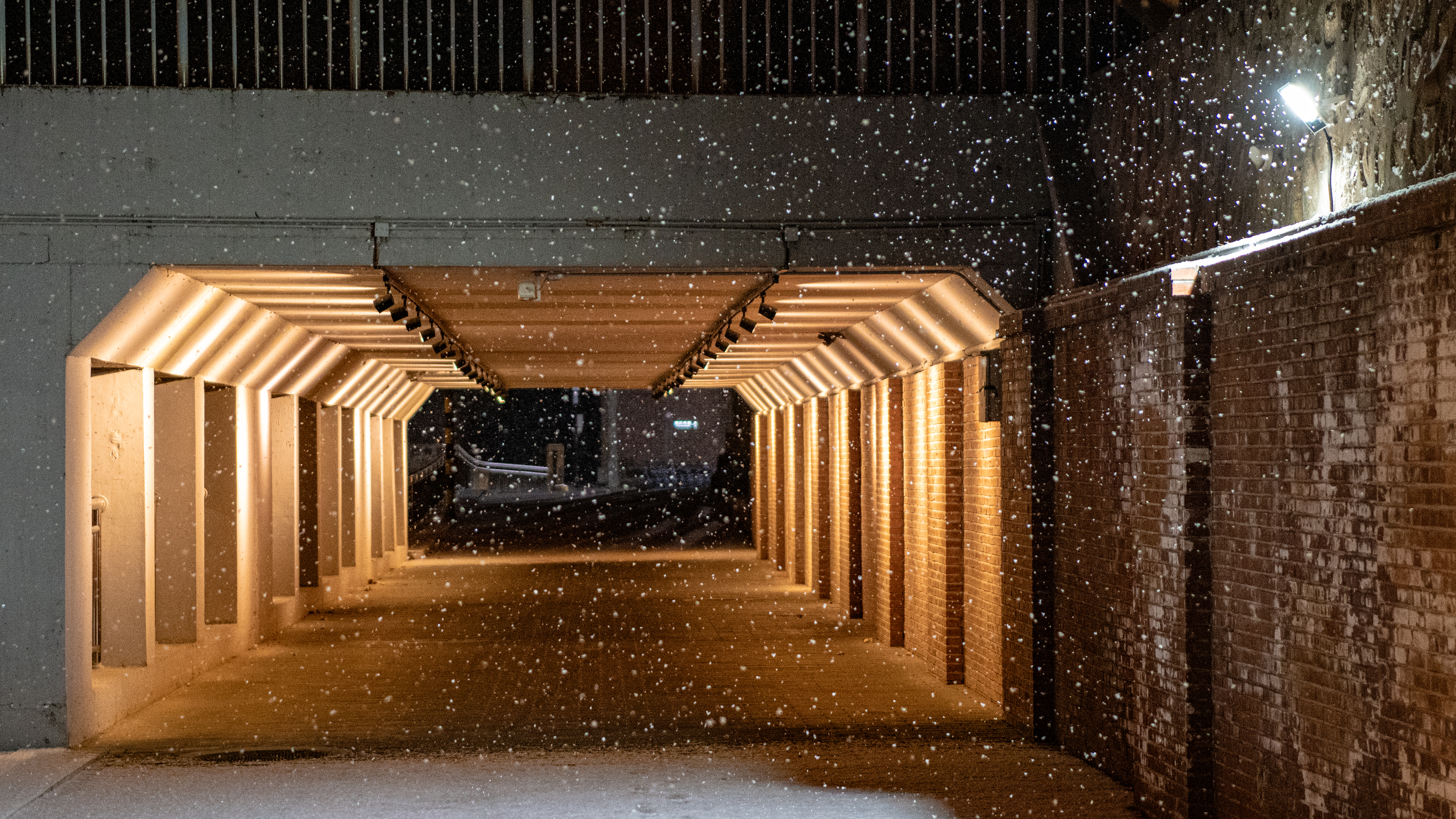 雪夜第一部分 (13).jpg
