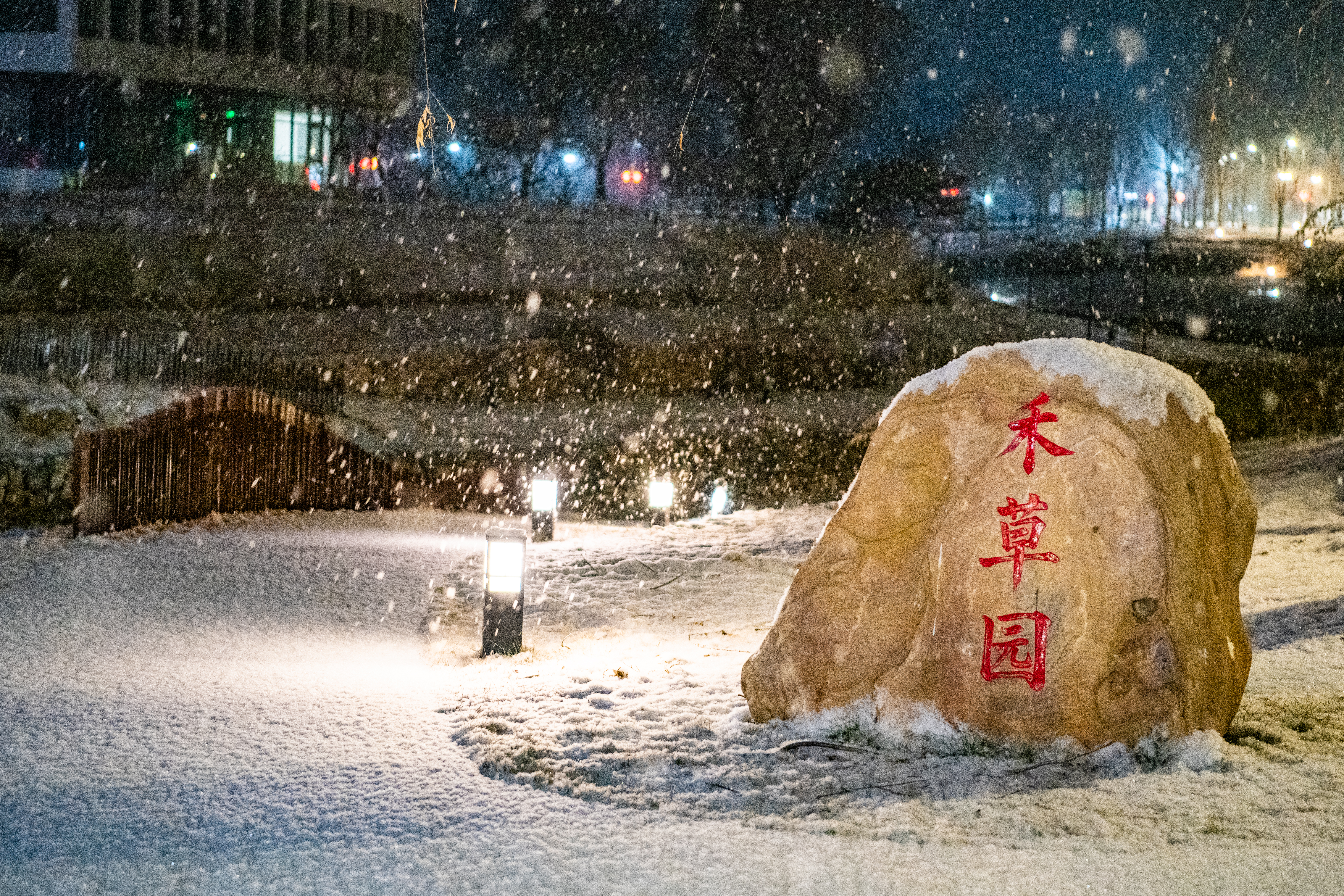 初雪第二部分（赵浩淼摄） (7).jpg