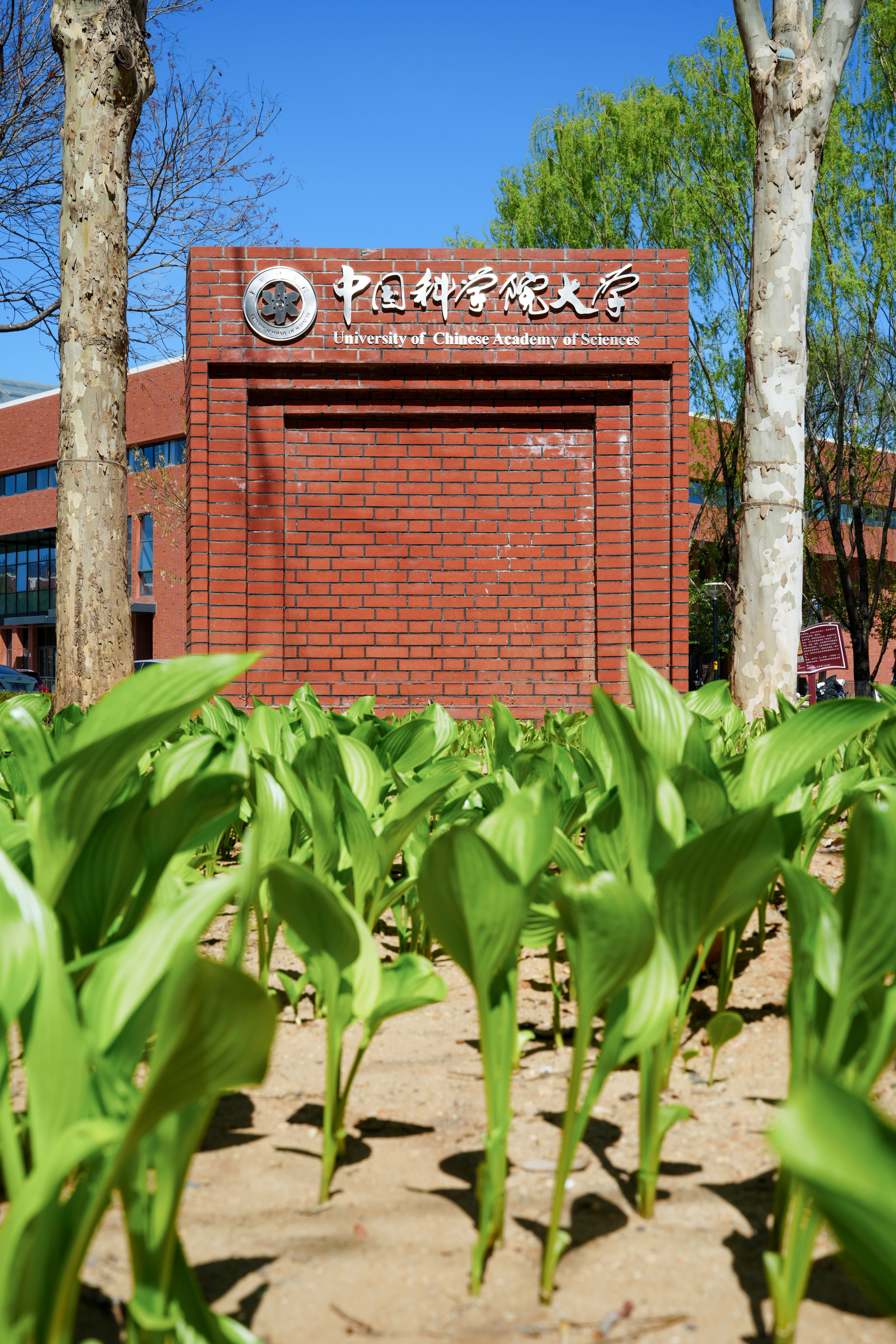 绿色-罗钧元-1.jpg