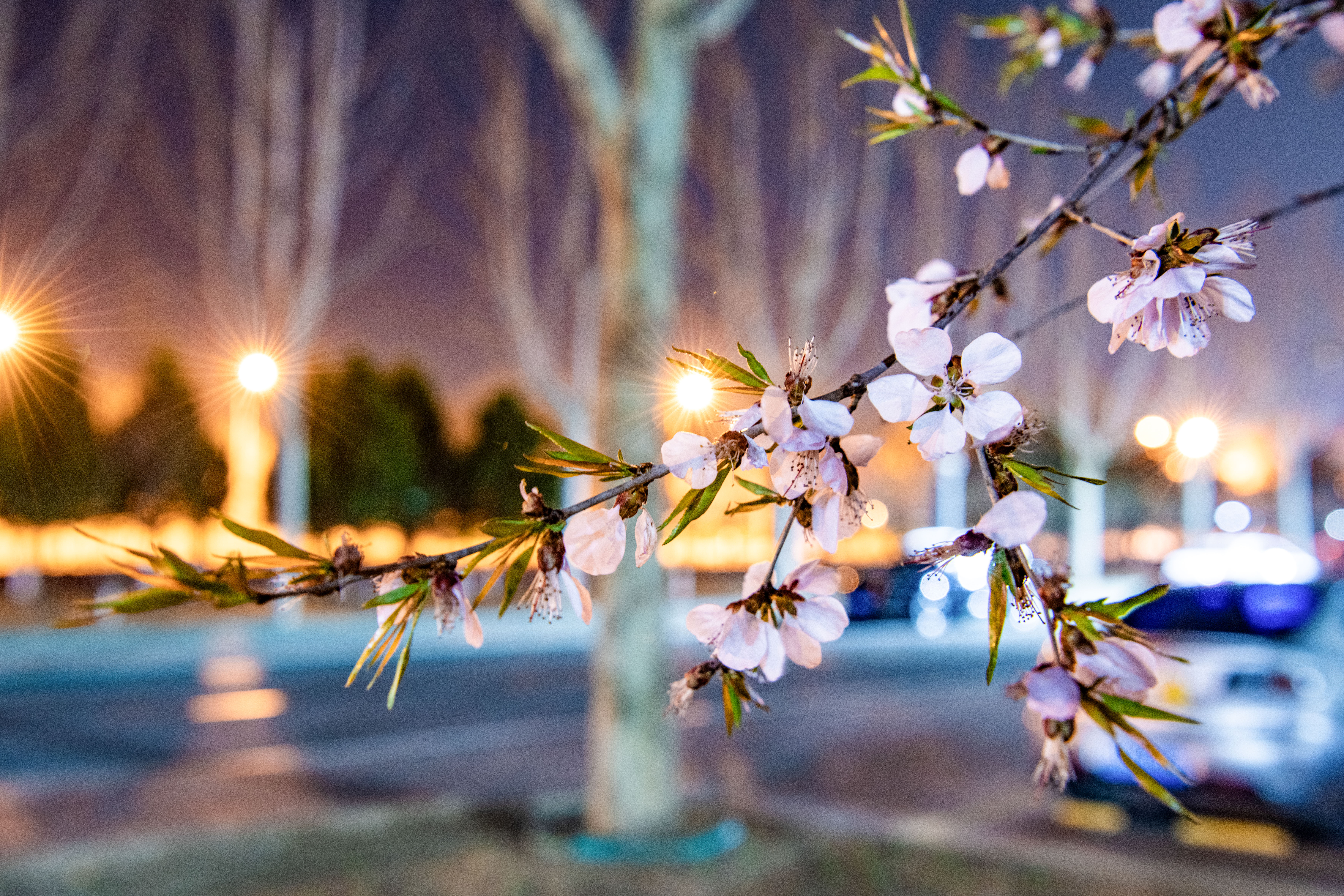 夜晚-赵浩淼.jpg