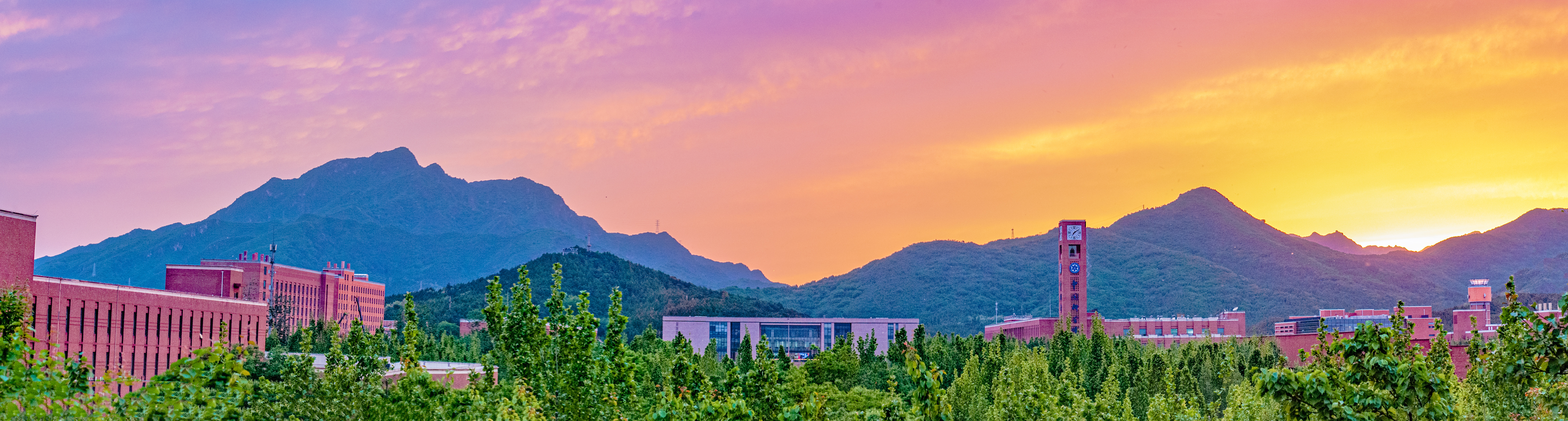 全景图-2-长条.jpg