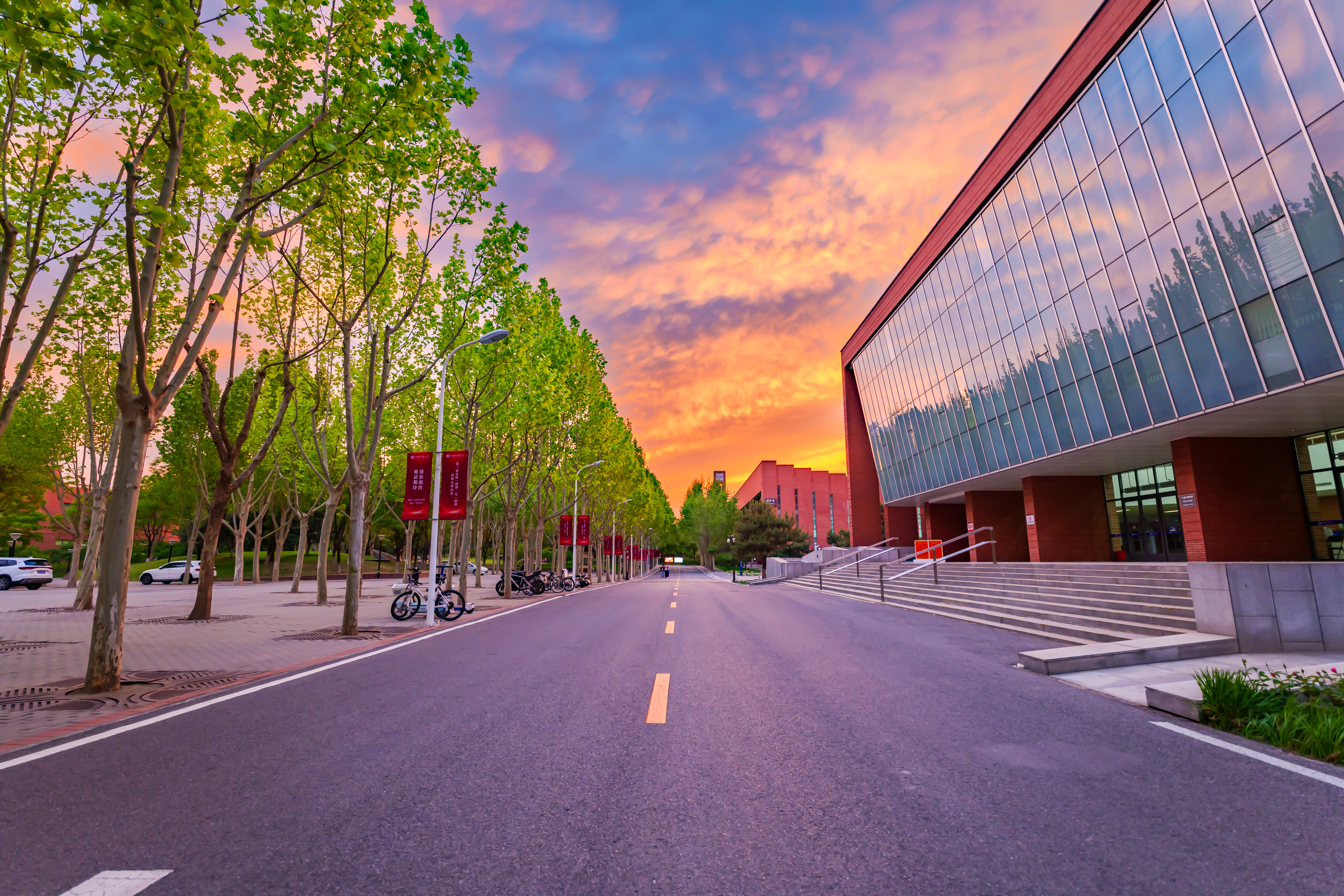 陈虎-P4826963-HDR.jpg