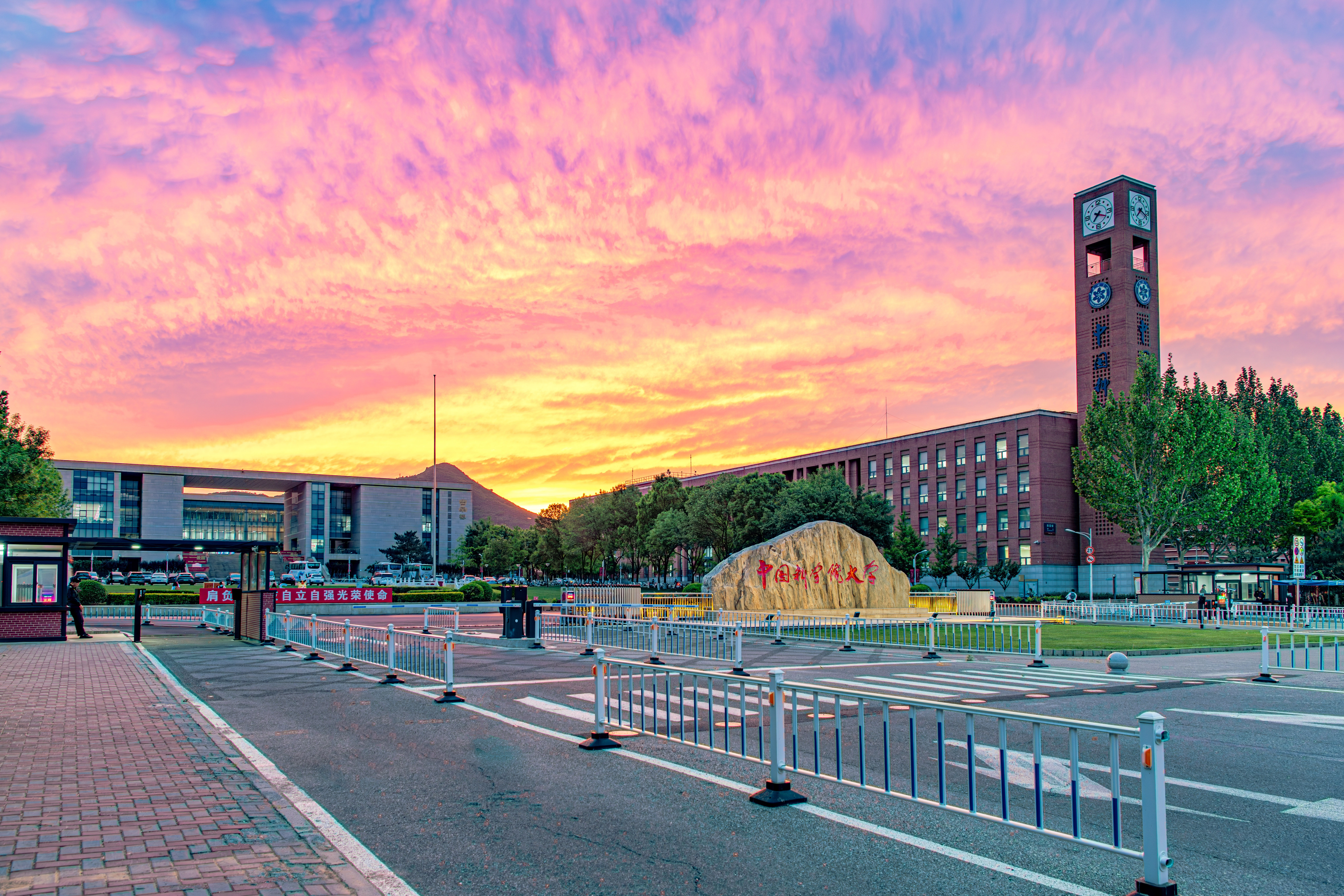_DSC2188-已增强-NR.jpg