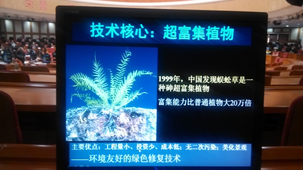 陈同斌精彩报告内容