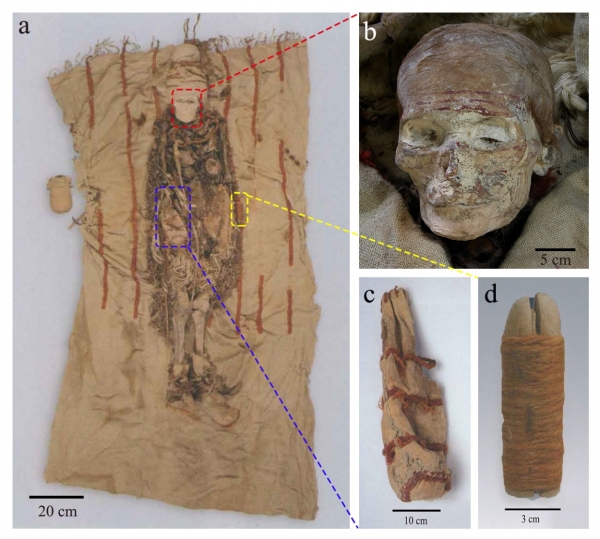 图1. 墓M13出土干尸及随葬物品 (a). 女性干尸正面观及随葬品；(b). 干尸面部的红色彩绘 (；c). 皮囊；(d). 木祖。 皮囊放置于干尸腰部右侧(用蓝框标示)，木祖放置于左侧(用黄框标示)，木梳压于右侧臀部下方(正面观上未见)。